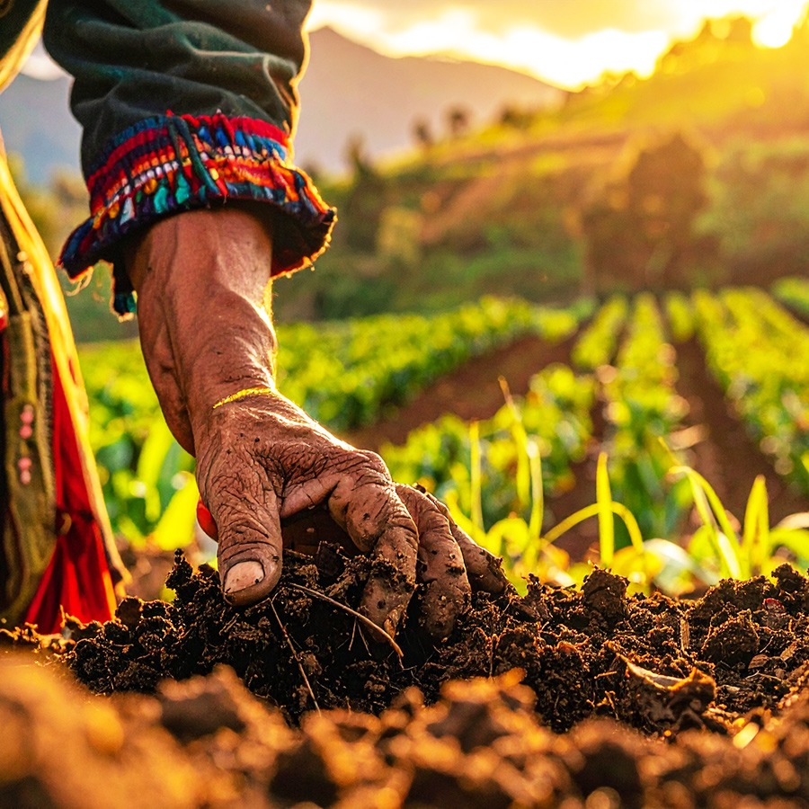 Ayni Connect with nature way of life. Hand planting in fertile soil